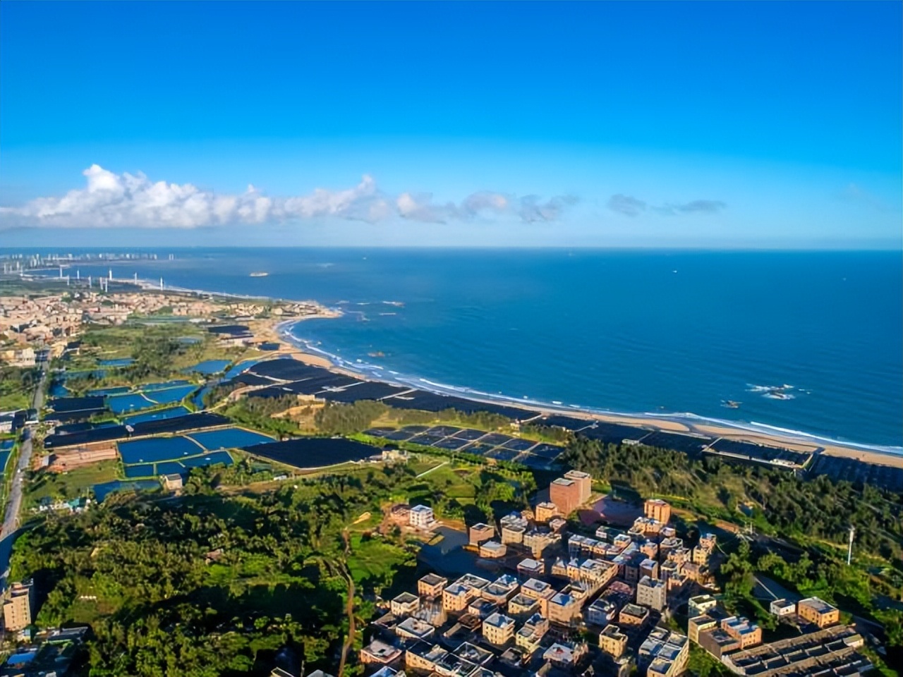 惠来五宝电商怎么样,惠来五宝活动直播间