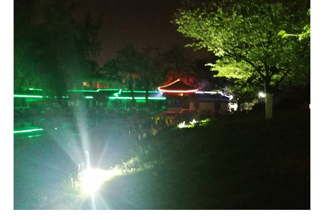 茶花之恋1,茶花之恋完整版视频