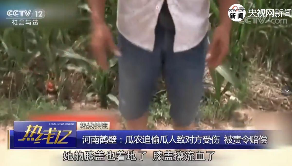 瓜农抓了偷瓜贼一人罚2个西瓜,瓜农抓到偷瓜贼却要倒赔300元