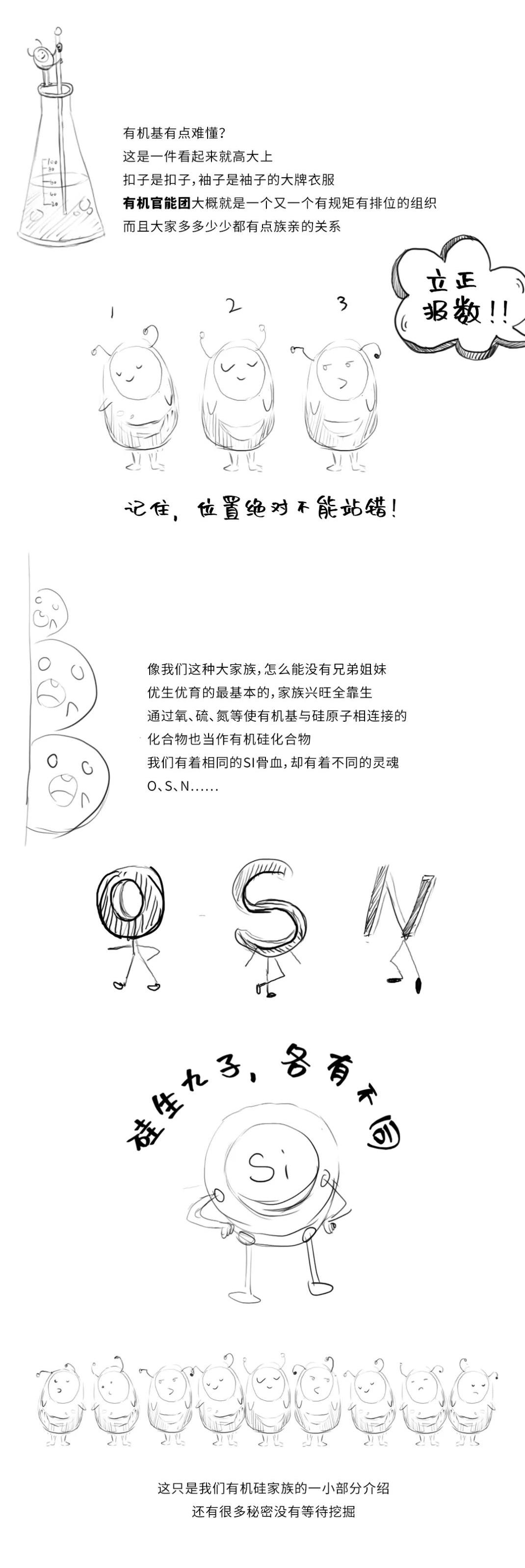 有机硅深度解读,有机硅深度解析