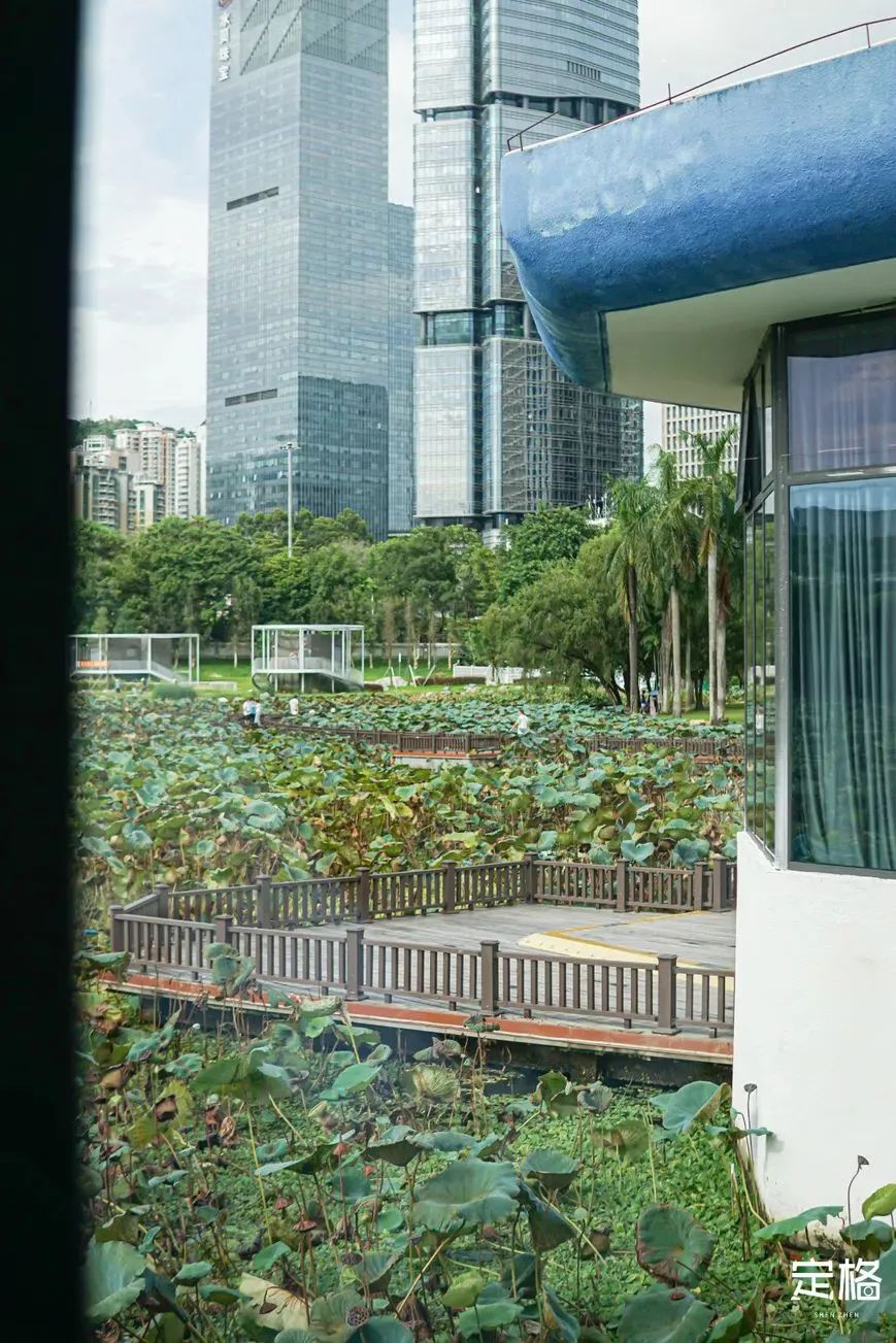 深圳有哪些24小时书房,深圳24小时免费开放书房