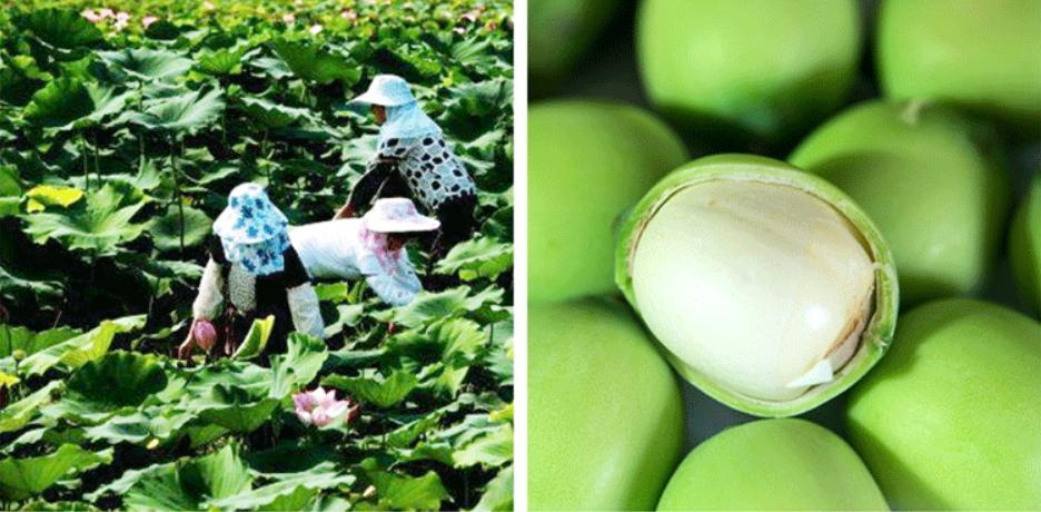 婀樻江杩欎釜鍩庡競鏈夊閲嶈,娣卞害瑙ｈ婀樻江鍩庡競