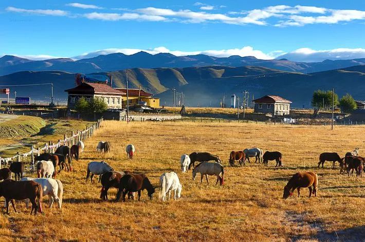 四川现代全景,四川是中国的一个缩影