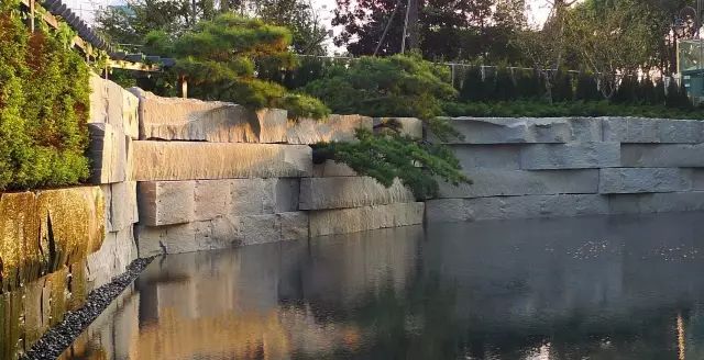 大山里捡回来的石头,大山里的石头块