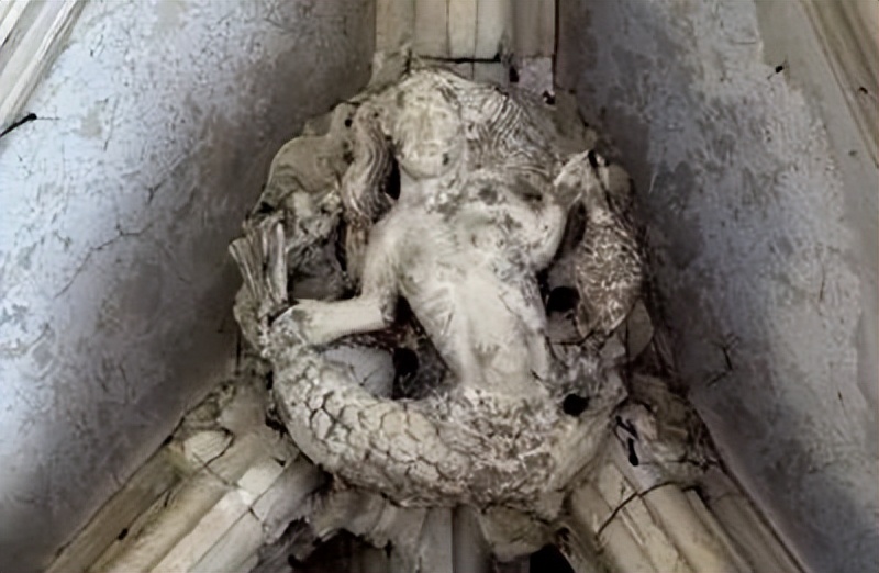 人鱼是怎样变成美人鱼的,丑人鱼变美长什么样子