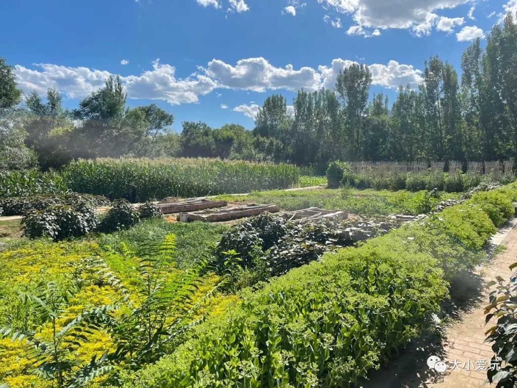 北京带孩子周边休闲度假的好去处,北京适合带孩子玩的度假村