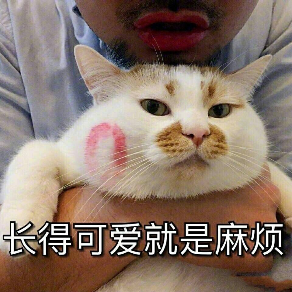 猫咪的名字应该叫什么才最可爱,猫咪经常喵喵叫代表什么