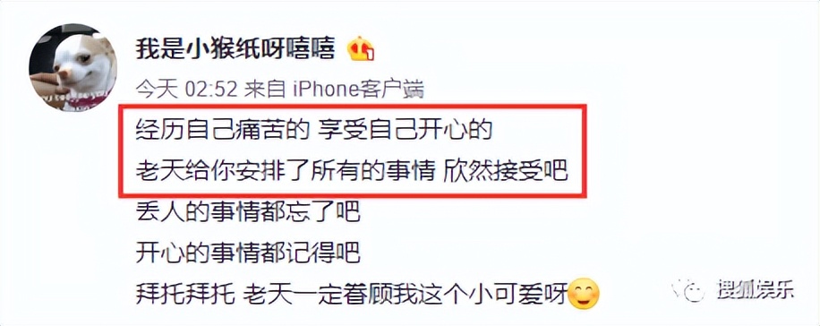 第三届金鹰奖,第三届金鹰女神视频