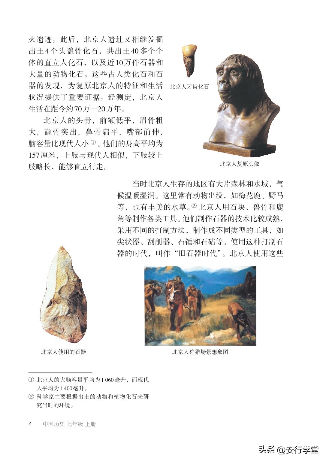 初中历史七年级上册丝绸之路,统编版初中历史教材电子版