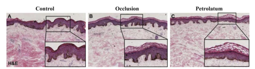 <html>
<head><title>502BadGateway</title></head>
<body>
<center><h1>502BadGateway</h1></center>
<hr><center>nginx</center>
</body>
</html>
<!--apaddingtodisableMSIEandChromefriendlyerrorpage-->
<!--apaddingtodisableMSIEandChromefriendlyerrorpage-->
<!--apaddingtodisableMSIEandChromefriendlyerrorpage-->
<!--apaddingtodisableMSIEandChromefriendlyerrorpage-->
<!--apaddingtodisableMSIEandChromefriendlyerrorpage-->
<!--apaddingtodisableMSIEandChromefriendlyerrorpage-->
