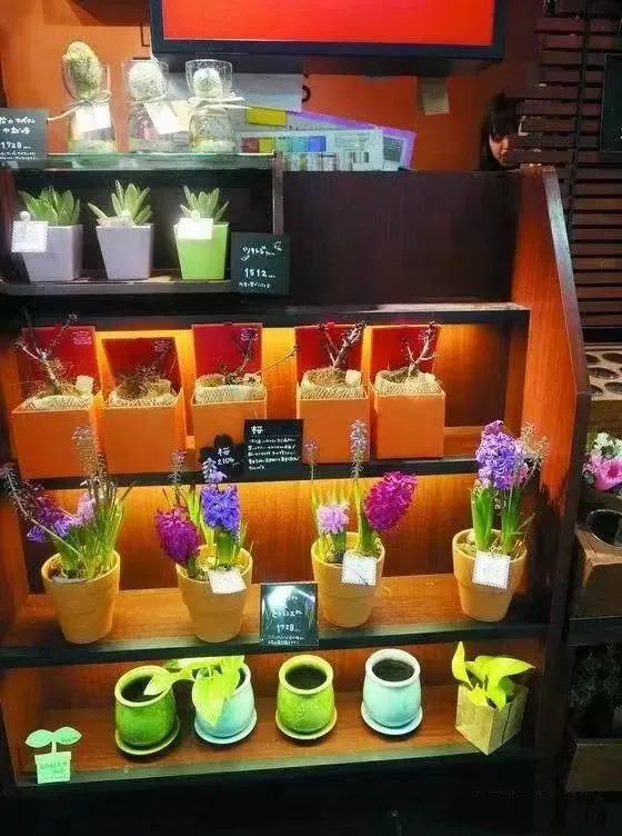 日本青山花店商业模式,引领花艺潮流的十二家花店
