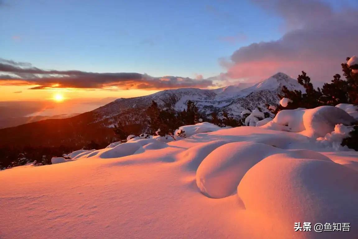 说同一种语言的国家,说同一种语言的有哪些国家