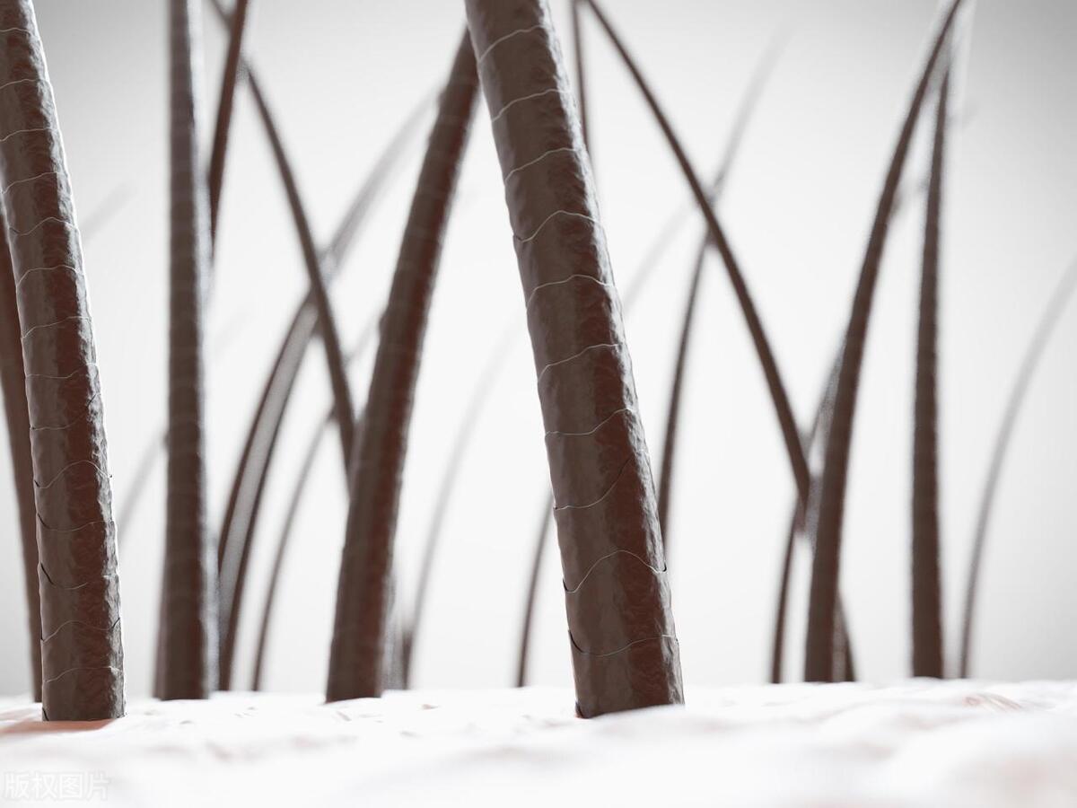 5个生发方法让头发加倍浓密,头发稀少怎么变浓密免费咨询