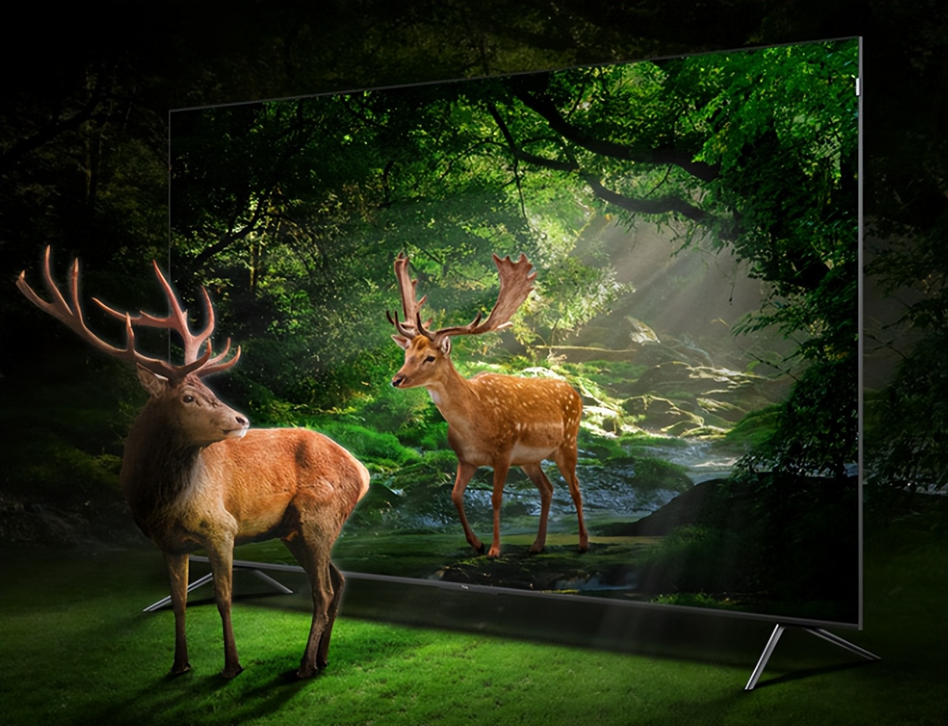 2021年tcl电视全球销量第一,tcl电视市场份额稳居第一