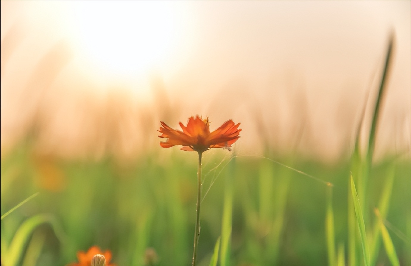 和老公过不下去应该和父母说吗,跟老公过不下去了还要孩子吗