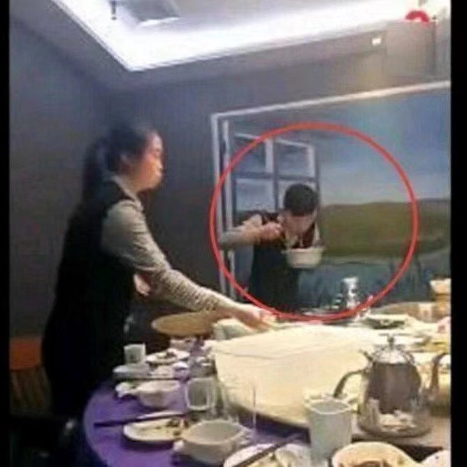 去加拿大当伐木工,如何去加拿大做伐木工