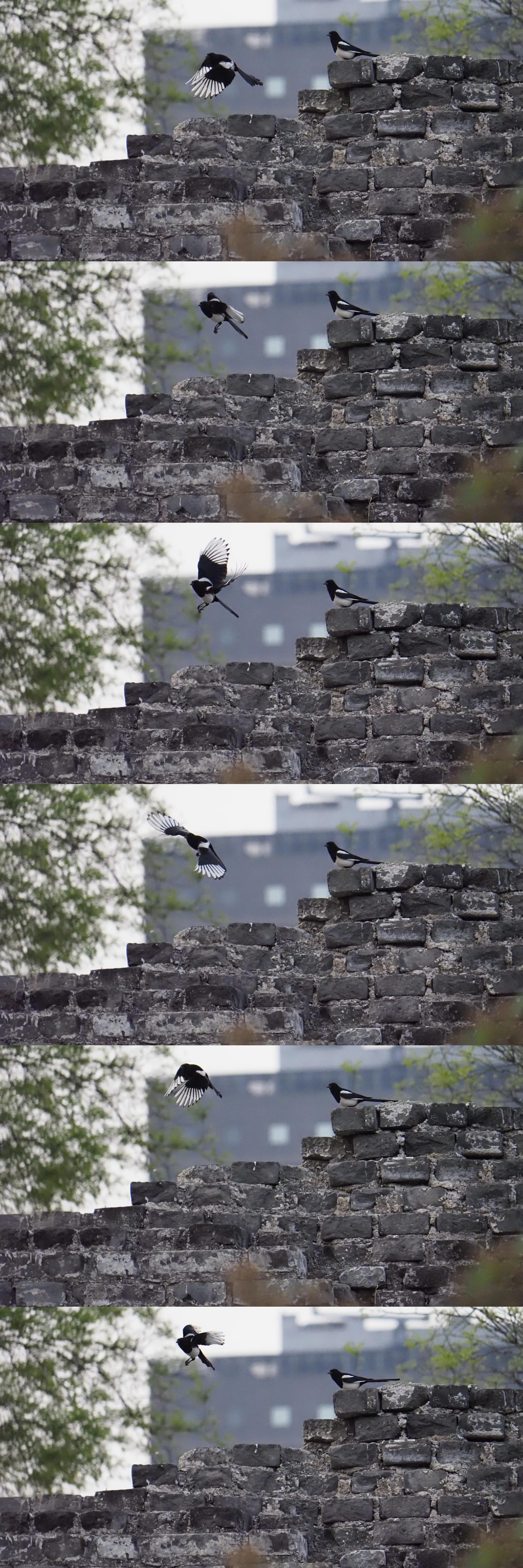 低价变焦摄像头,低价超长焦镜头