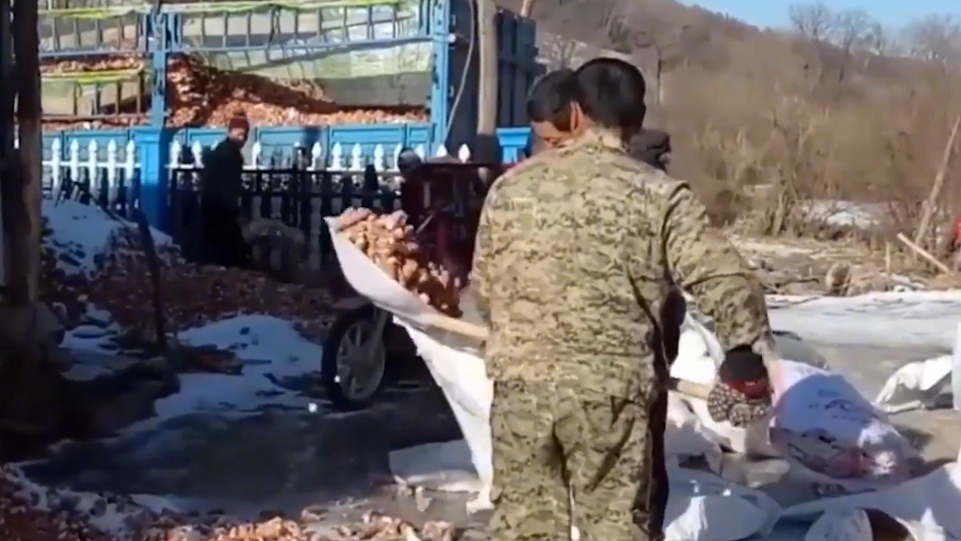 俄罗斯还往中国进口冷冻明太鱼吗,俄罗斯明太鱼为何出口中国