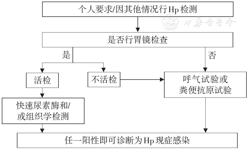 幽门螺旋杆菌四联用药指南,幽门螺旋杆菌阳性治疗指南