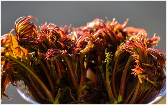 谷雨节喝谷雨茶,谷雨节气能喝什么茶水