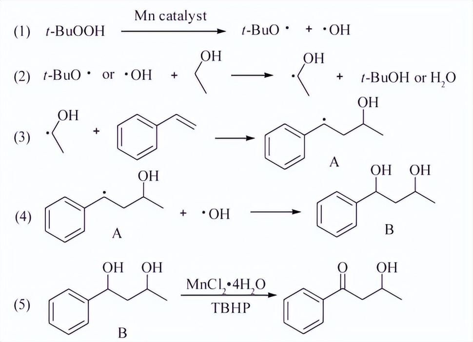 苯乙烯衍生物的γ－酮腈等系列双*能官**团化反应研究|科技导报