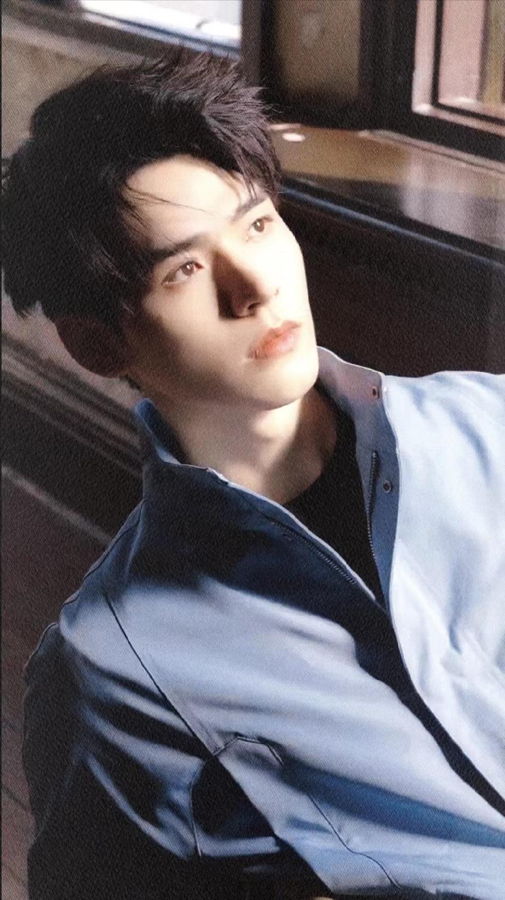 四川最帅十大男明星,十大越老越帅的男明星