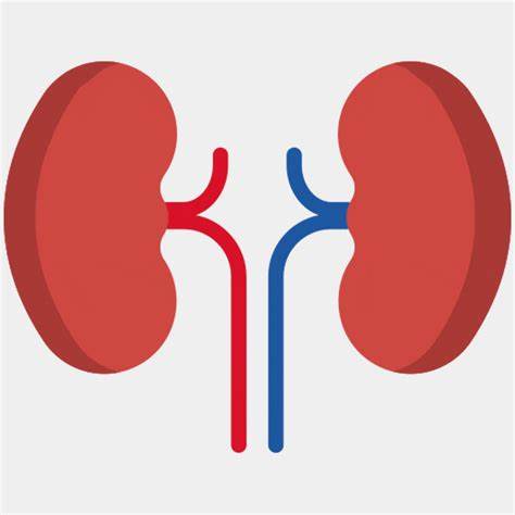 夜尿多有什么好办法治疗,夜尿多怎么办快速解决方法