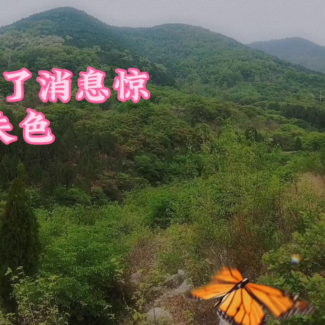 姘戦棿鏁呬簨鏁戜汉鎬у懡鐨勯粍榧犵嫾,鏁戜簡鐥呴噸鐨勯粍榧犵嫾姘戦棿鏁呬簨