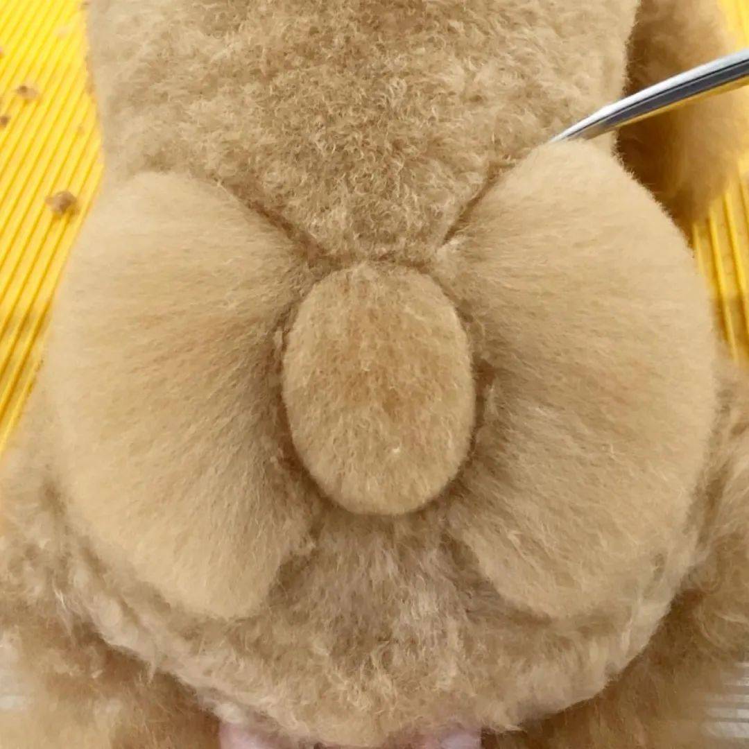 狗子剪出发射爱心的小屁屁