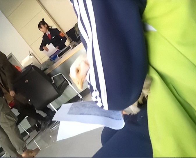 资助女孩上学被拒,贫困女孩给马云寄老母鸡