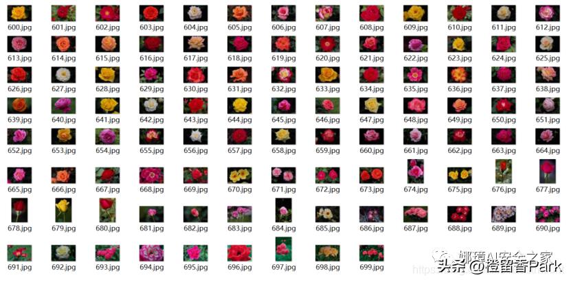 python神经网络模型如何预测,python机器学习图像预测