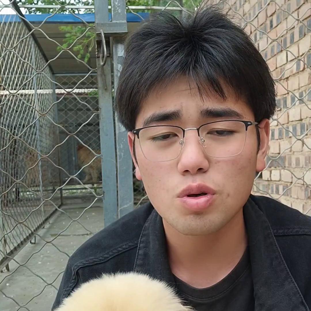 几个月的狗狗可以吃剩饭剩菜,狗狗不吃剩菜剩饭挑食怎么办