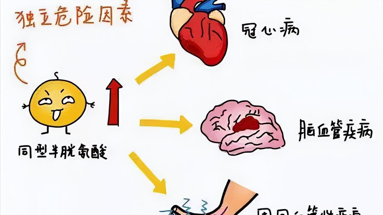 50岁以后补充叶酸有哪些作用,50岁后补叶酸有什么好处