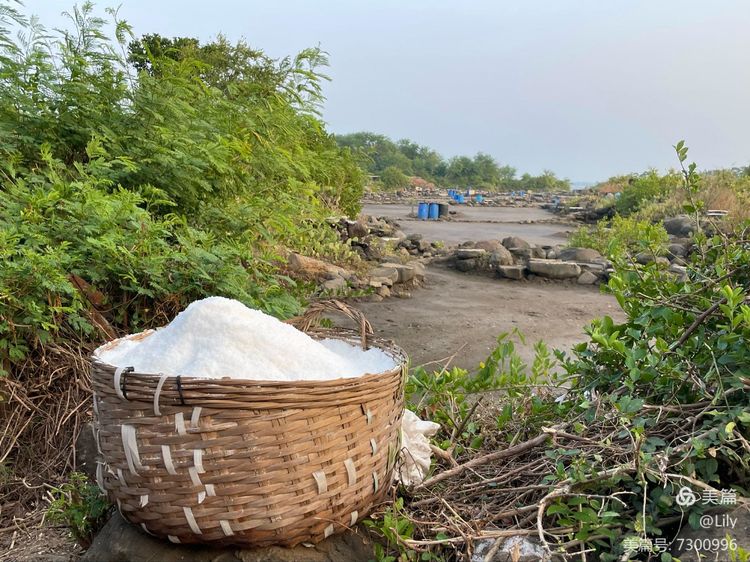 去临高县溜达,去海南溜达一圈