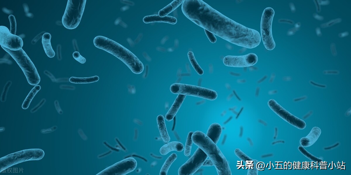 宝宝细菌性腹泻可以吃黄连素吗,复方黄连素片可以治疗细菌性腹泻吗