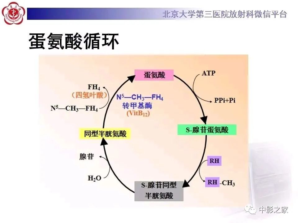 什么叫原发性胼胝体变性,原发性胼胝体变性治疗多少钱