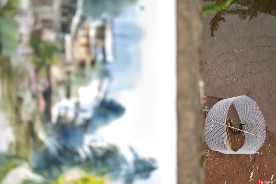 雅安上里古镇最佳住宿,雅安上里古镇风景照片