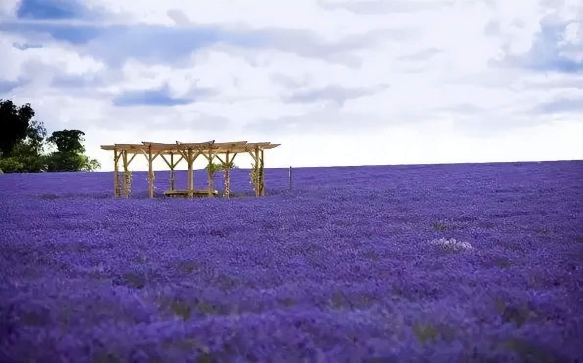 一朝发祥地两代帝王都什么意思,一朝发祥地两代帝王城的意思