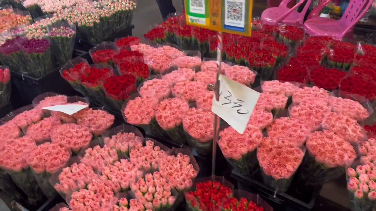 沉浸式逛广州岭南花卉市场,一年一度逛岭南花卉市场