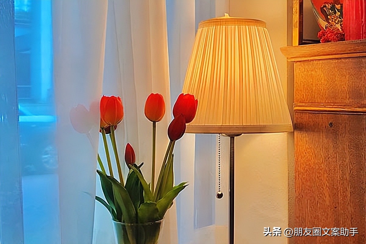 胖文案短句沙雕,沙雕文案高级短句