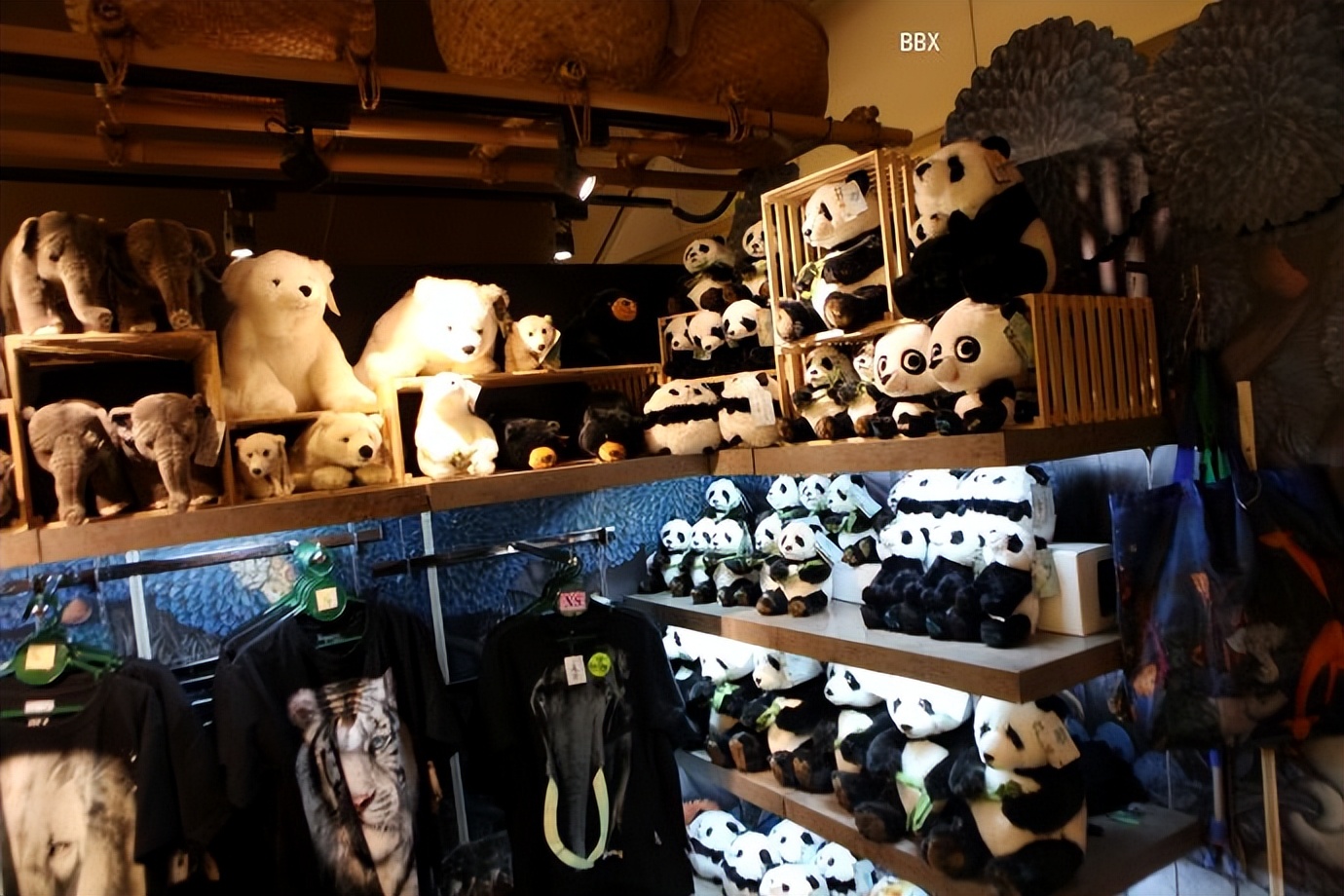 新加坡樟宜机场的仙人掌花园,新加坡最美机场在哪个航站楼