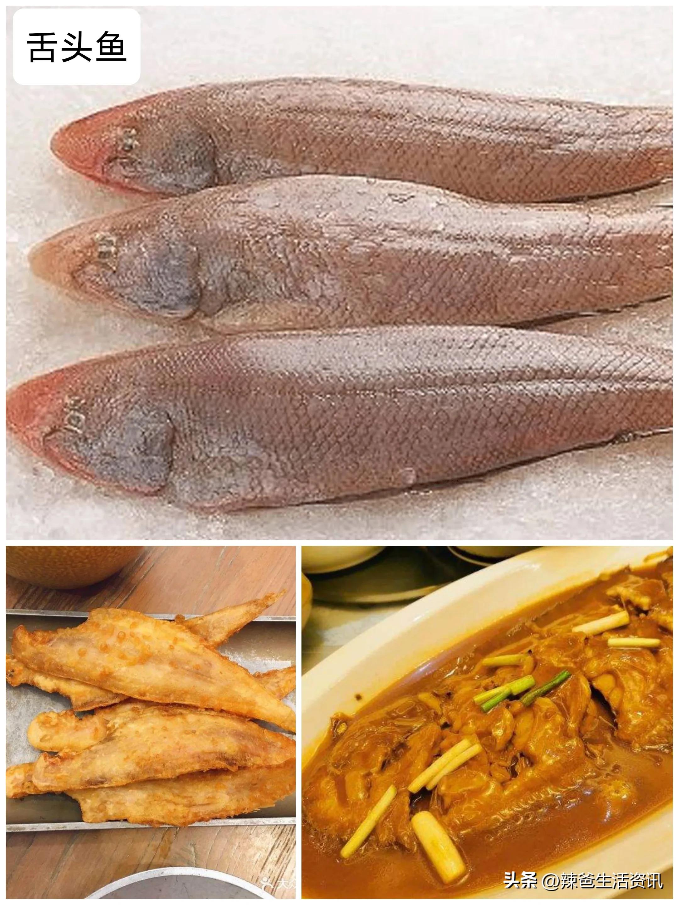 好吃不贵的野生海鱼,十种好吃不贵的正宗海鱼