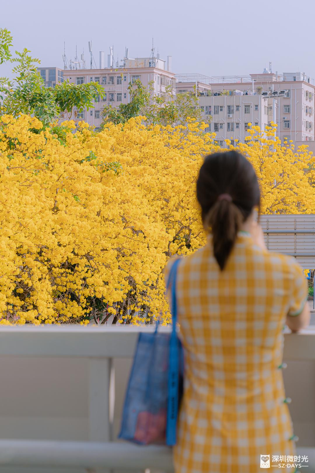 深圳九价疫苗可以帮女朋友预约吗,男朋友可以帮女生预约九价疫苗吗