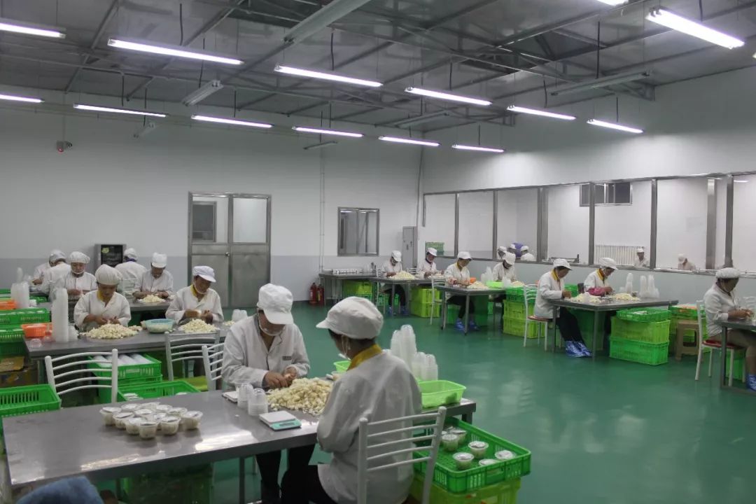 爽口源百合,爽口源原生鲜百合