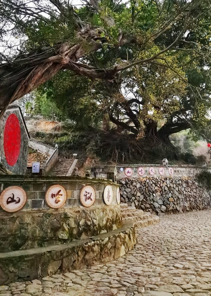 霞浦畲族农家乐,霞浦盐田农家乐