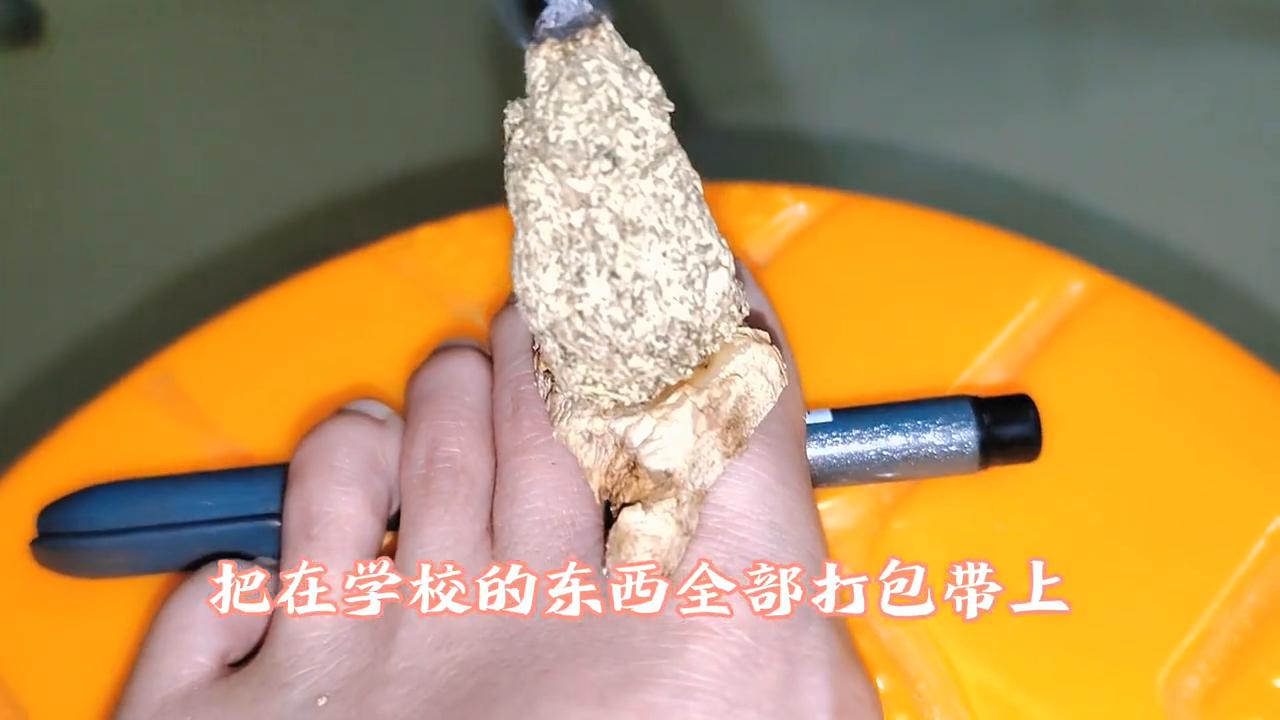 鑻忓窞宸ュ巶宸ヤ綔鏁呬簨,鑻忓窞宸ュ巶鎰熷彈