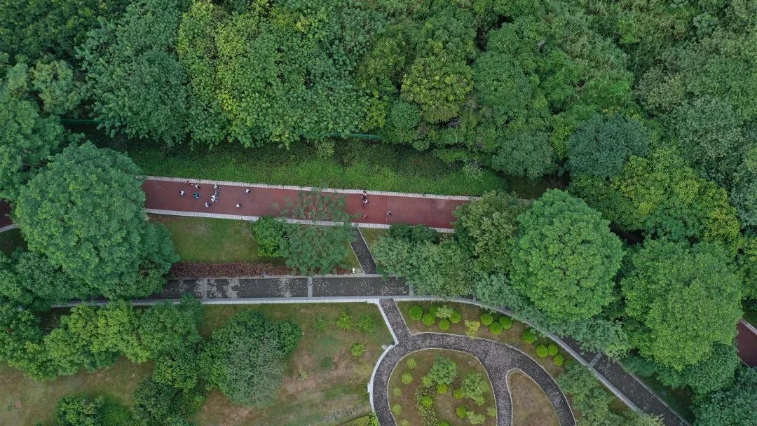 我为什么建议你来北上广深奋斗,我为什么建议你留在一线城市