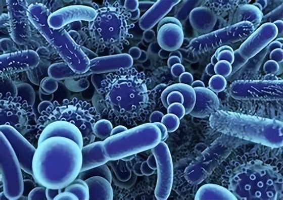 不小心误食少量分泌物,误食白带的应对措施