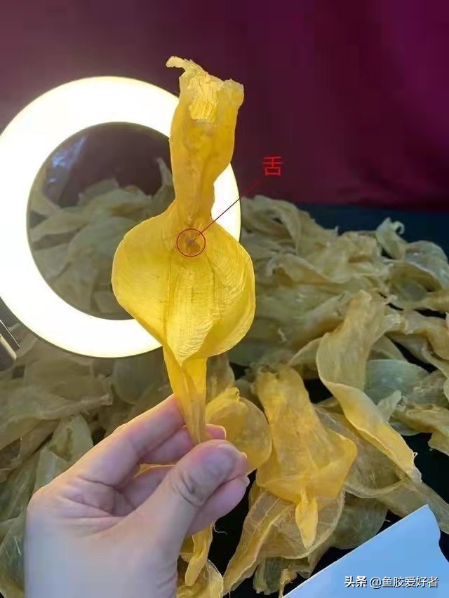 白花胶跟黄花胶的价格,白花胶顶级花胶价格表