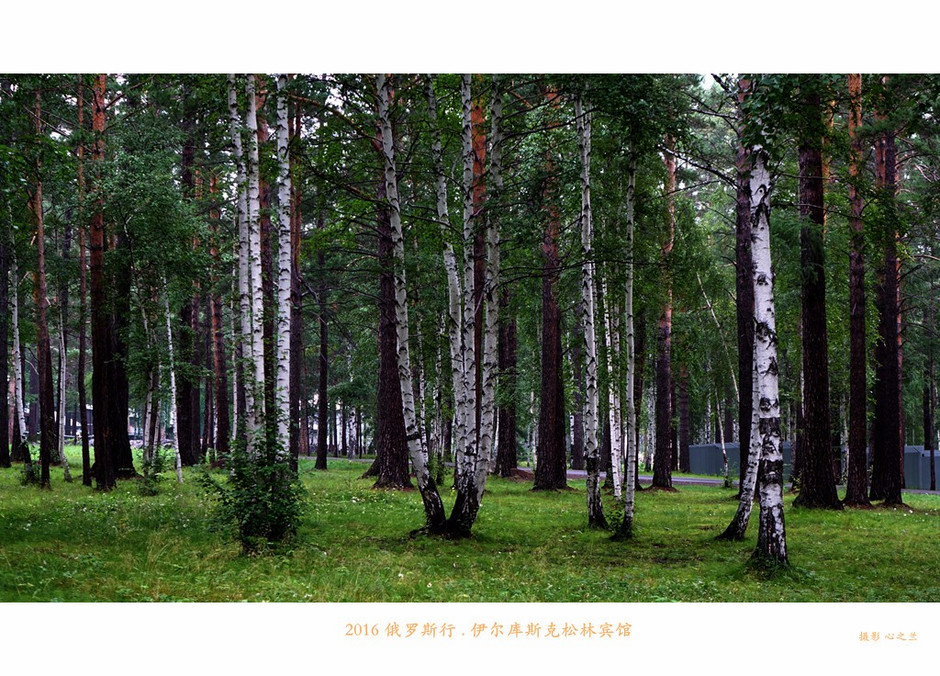 俄罗斯旅行记完整视频,俄罗斯行摄